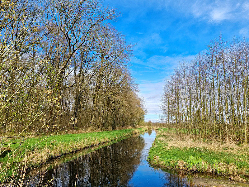 Bos, sloot, wandelen在荷兰的大自然中。